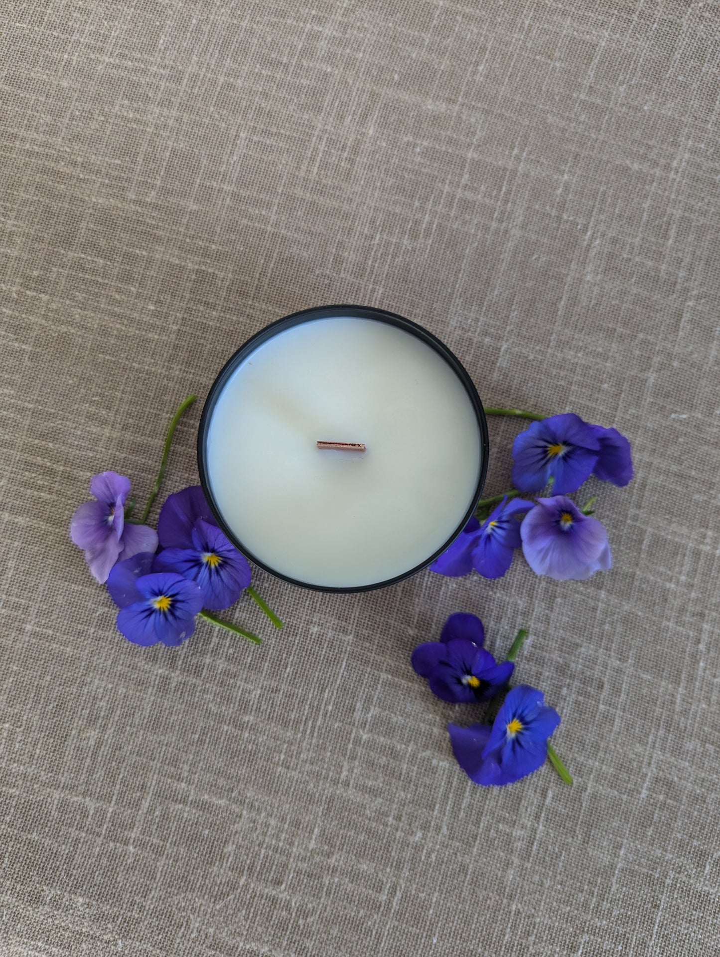 Violetas Silvestres
