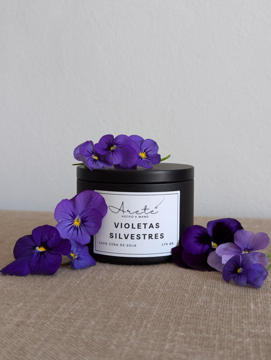 Violetas Silvestres