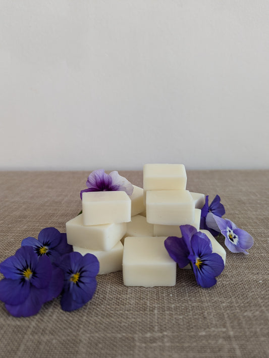 5 Wax Melts Violetas Silvestres